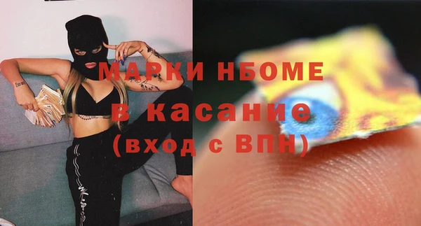 дживик Ельня