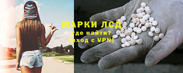 дживик Ельня
