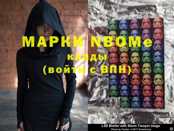 дживик Ельня