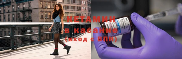 дживик Ельня