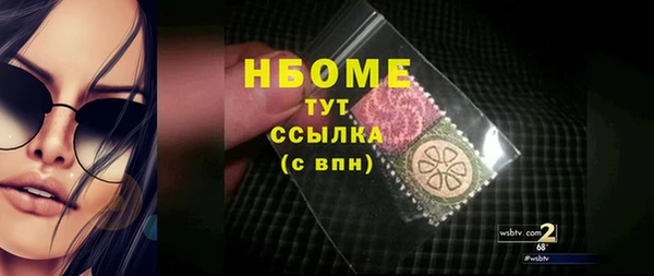 дживик Ельня