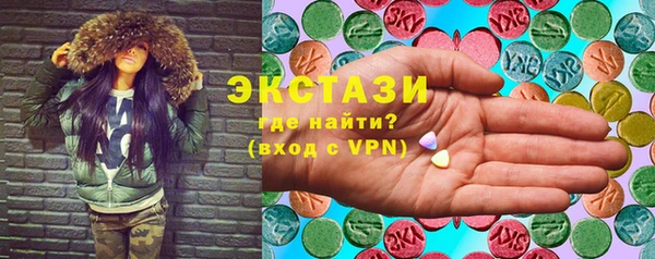 дживик Ельня