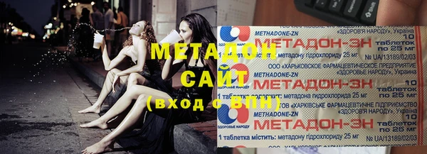дживик Ельня