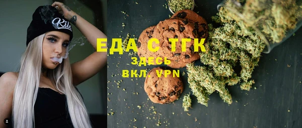 дживик Ельня