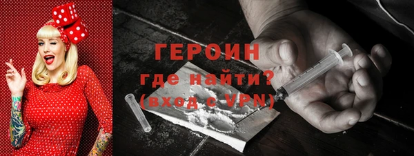 дживик Ельня