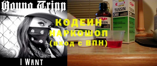 дживик Ельня