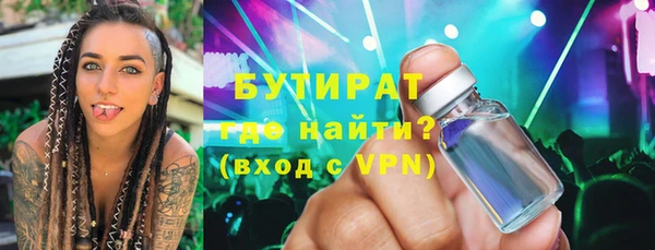 дживик Ельня