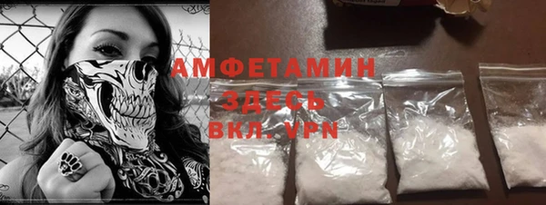 дживик Ельня
