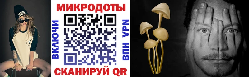 Галлюциногенные грибы прущие грибы  Купить где  Тихорецк 
